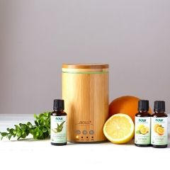 Shower Aromatherapy with oil Disfuser The Shower Head Store