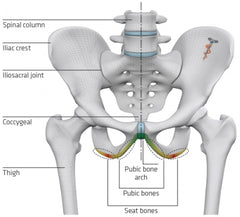 Saddle Ergonomics Explained – SQlab