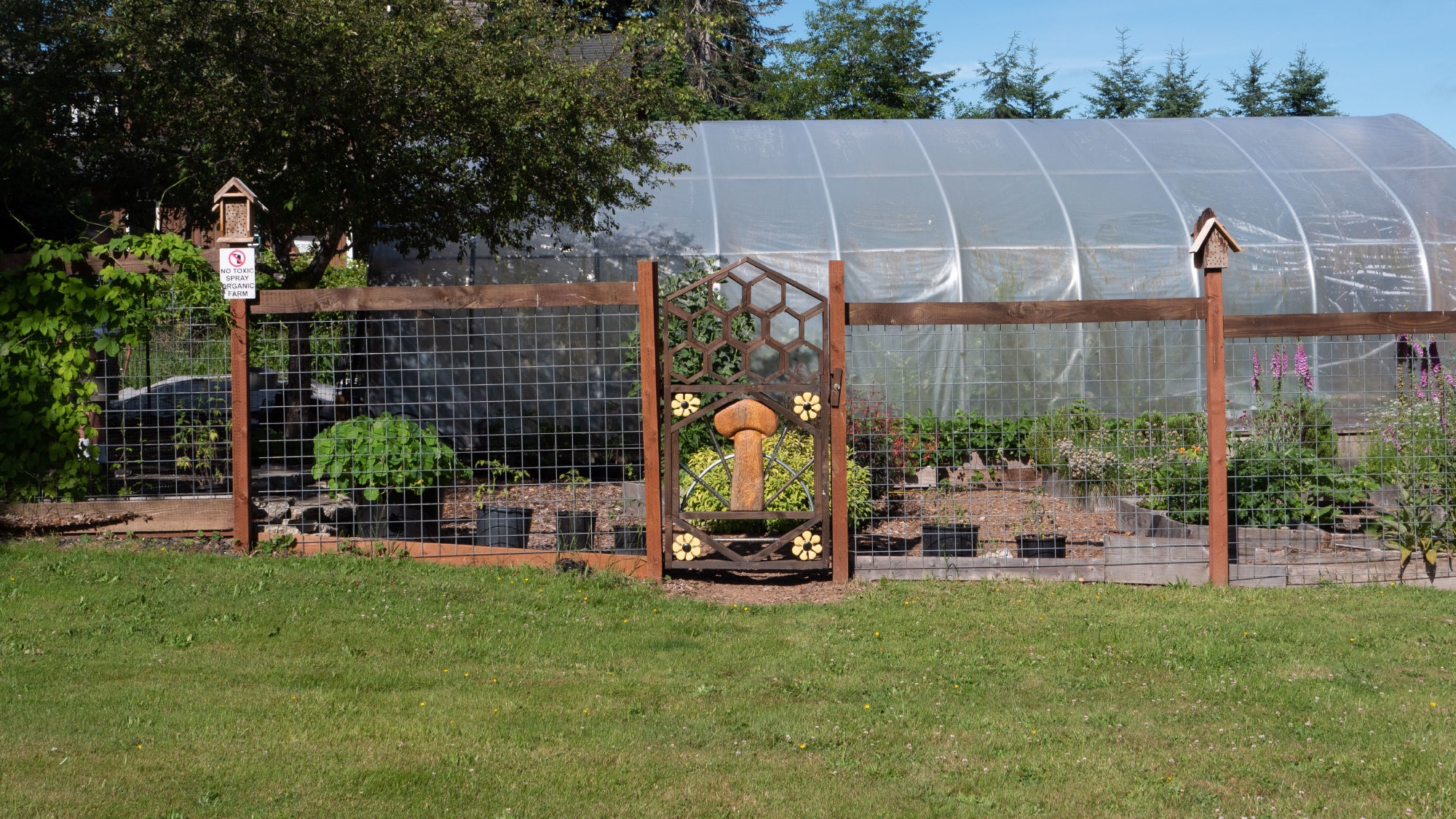 Farm Gate- We Grow Our Own Mushrooms and Mushroom Mycelium