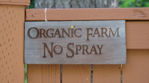 Organic Mushroom Farm, No Spray