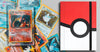 pokemon cards organization