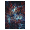 Butterfly Psychedelic Infusion Nebula  V2 Card Sleeves