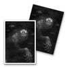 Creature from the Black Lagoon Card Sleeves