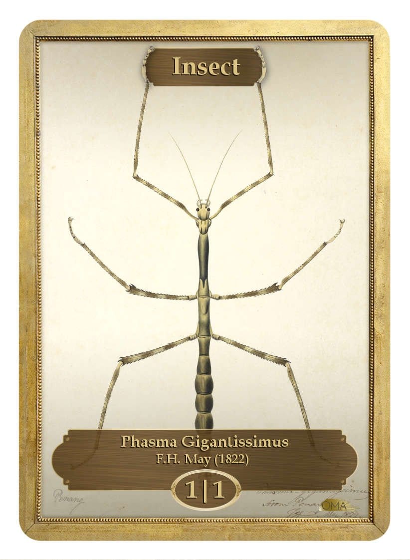 Insect Token (F.H. May)