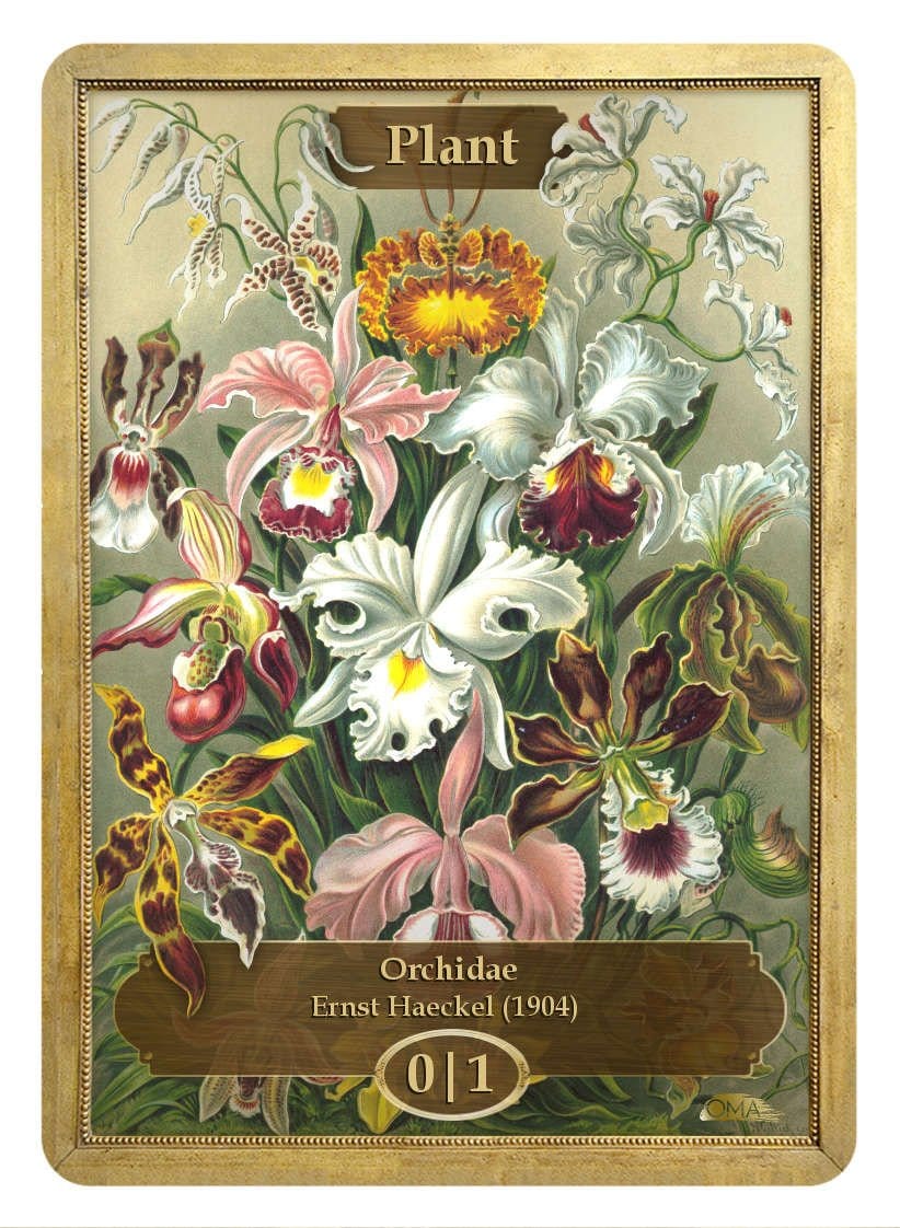 Plant Token (Ernst Haeckel)