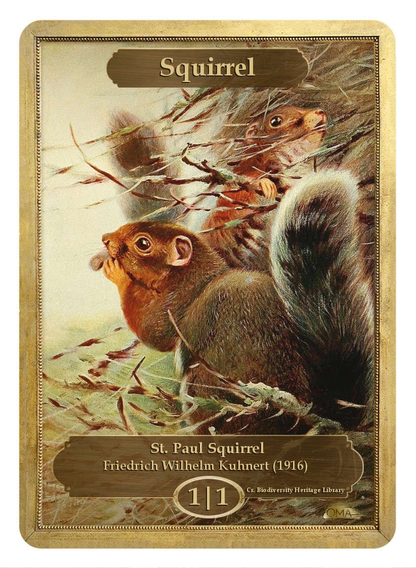 《リストークン/Squirrel Token》 (Friedrich Wilhelm Kuhnert)