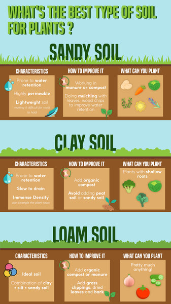 Best soil for plants | Pot Shack