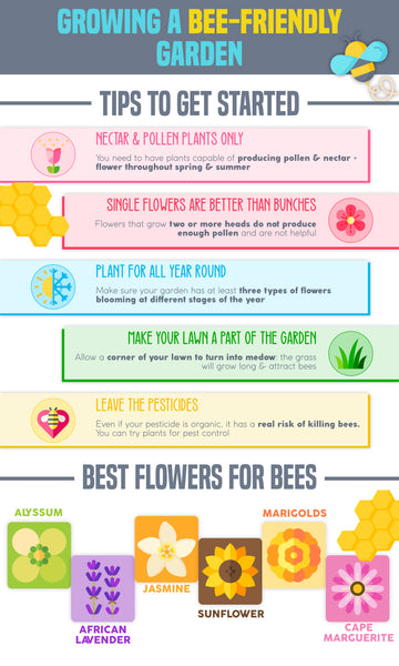 Planting for Bees | Infographic | Pot Shack