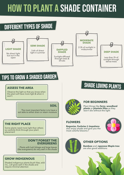 How to plant a shade container | Infographic | Pot Shack