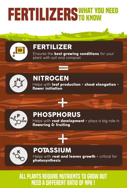 Fertilizers: What you need to know | Infographic | Pot Shack