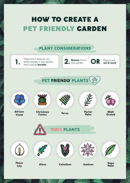 Pet friendly garden infographic