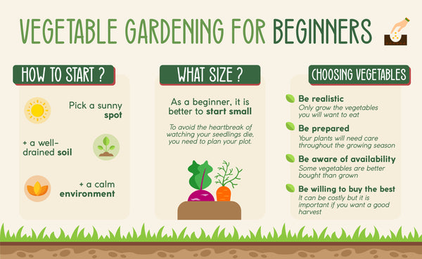 Vegetable gardening for beginners | The Pot Shack