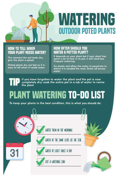 Watering outdoor potted plants: What you need to know | Infographic | Pot Shack