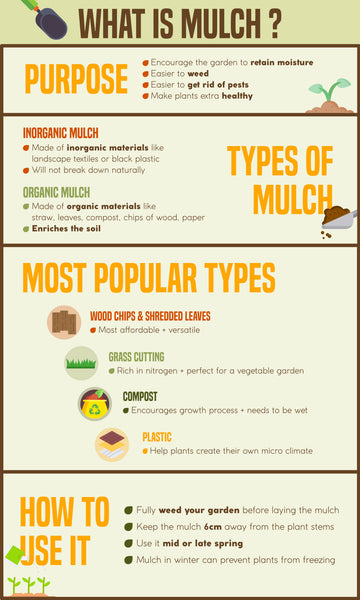 What is Mulch | Infographic | Pot Shack