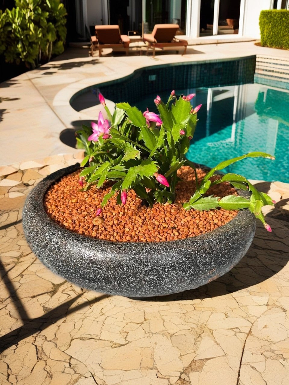 Concrete garden pot with plants from The Pot Shack - Garden Pot Suppliers Garden Centre