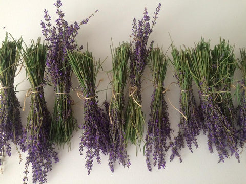 How to Dry Lavender