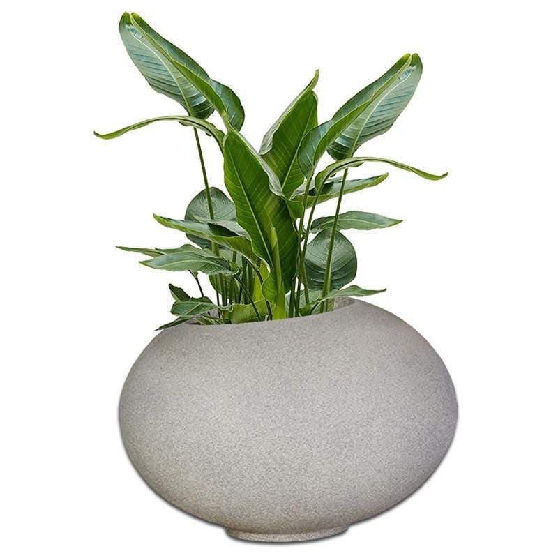 amazon-concrete-pot-the-pot-shack-garden-concrete-pot-gauteng-29939483345046.jpg_v=1628094