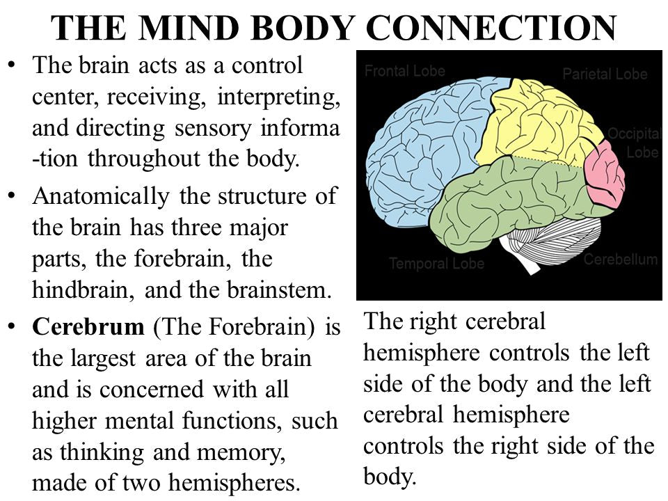 Mind body connection