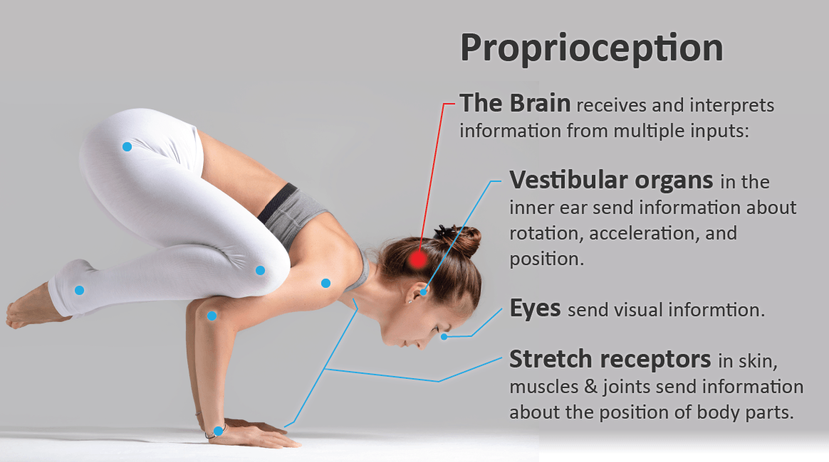 Proprioception