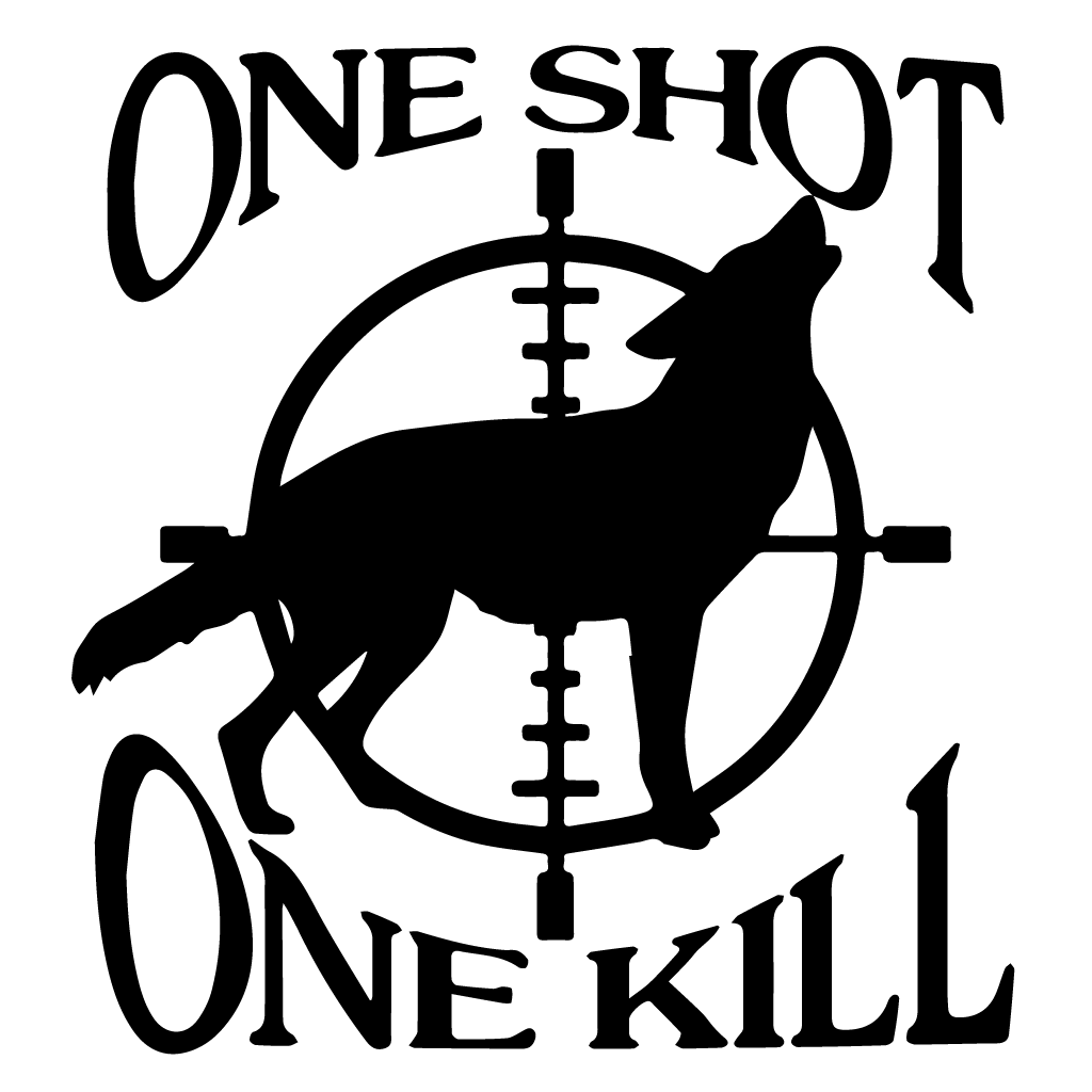 one-shot-one-kill