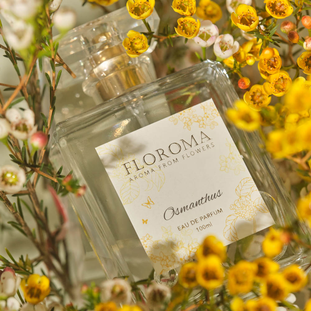 Tangerine Perfume – Floroma 花の滴