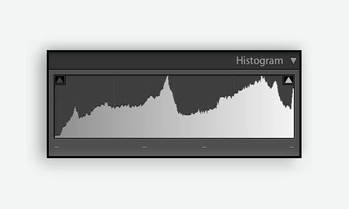 Histogram