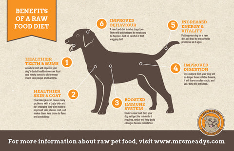 Benefits of a raw food diet for dogs 