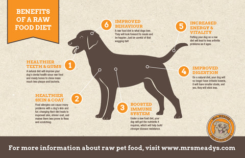 raw food diet for large breed dogs