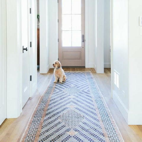 How To Remove Dog Pee In Rugs Rug Shop And More