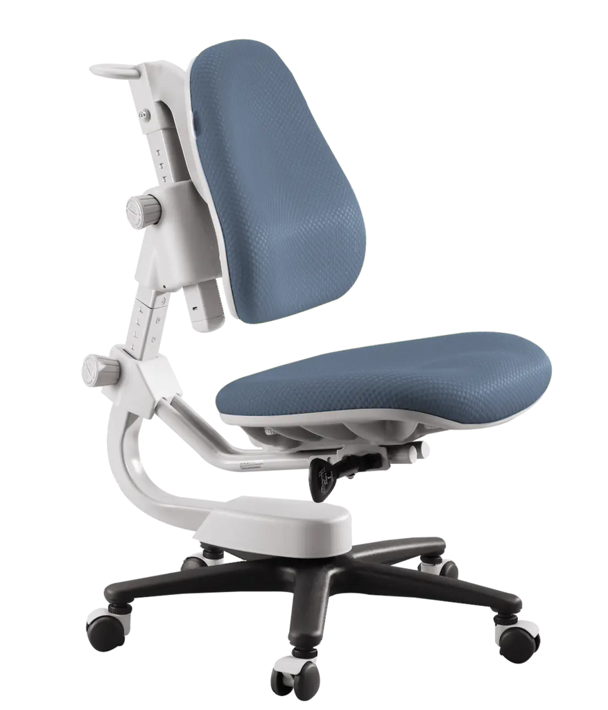 Y918 Triangle Ergonomic Chair / Blue – Hola Ergo