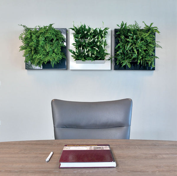 MossWall Live adds living plants to add dimension to your Moss Wall Art.