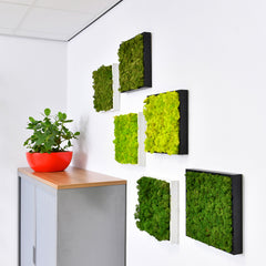 12"x12" Moss Mini Wall Art Panel acoustic reindeer moss