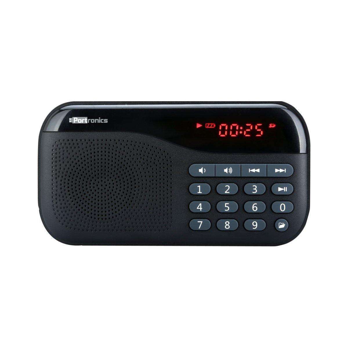 portronics radio