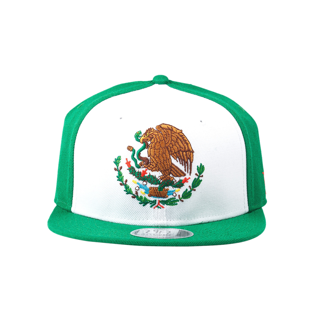 ANVEM NAcional México - ANVEM
