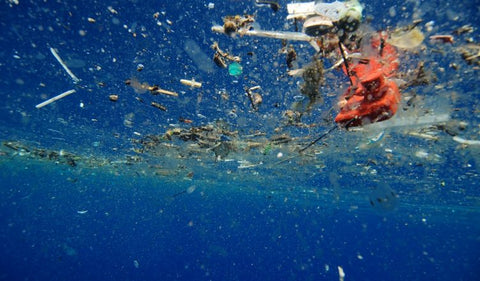 Floating Plastic at the Surface of the Ocean | Photo Credit blueoceansociety.org
