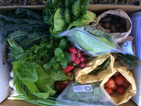 Autumn CSA organic vegetable box from our farm in Richmond