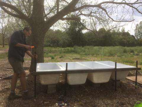 making a bathtub worm farm