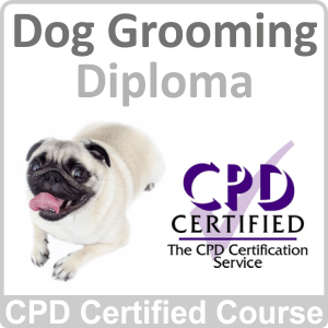 Online Dog Grooming Diploma course by Learning247