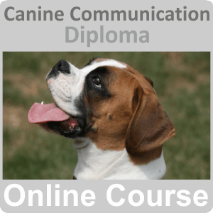 Online Canine Communication Diploma Training Course by Learning247