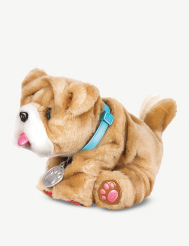 rollie dog toy