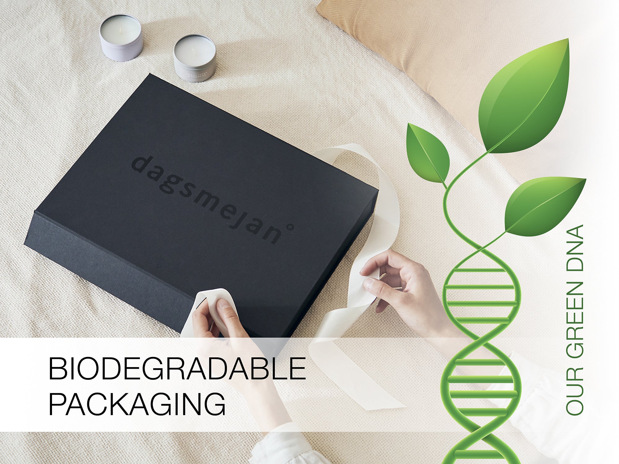 biodegrable packaging