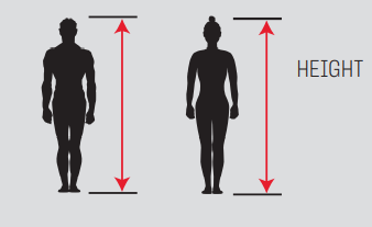 height guide measurements