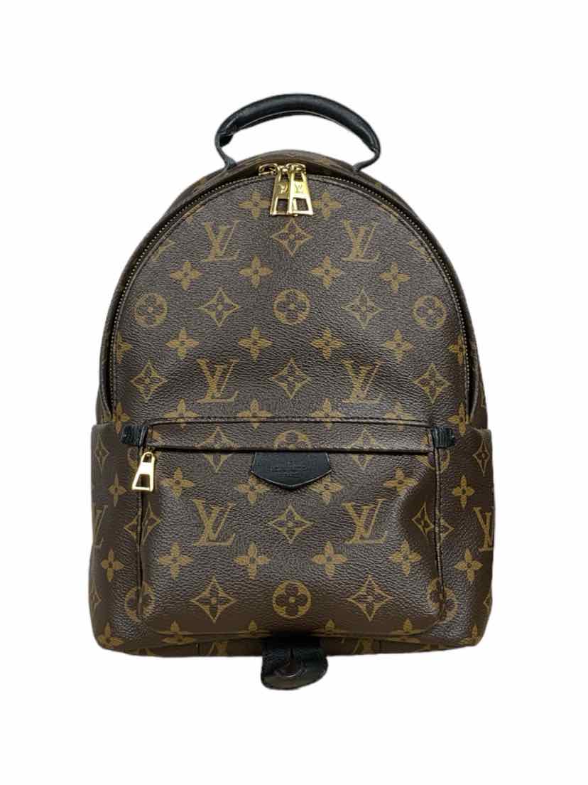 image of Louis Vuitton Palm Springs PM BackPack