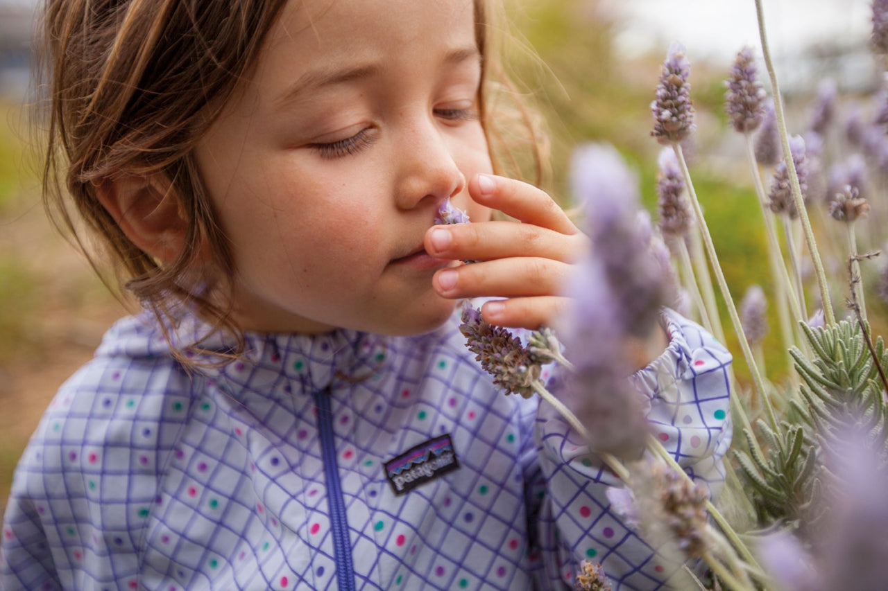 Young girl in purple rain jacket, closed eyes, smelling a lavender flower. Photo: Somira Sao