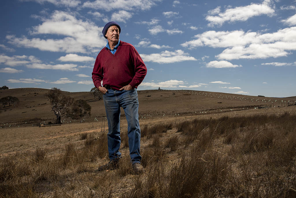 You Are What You Eat - Regenerative Agriculture: A ...