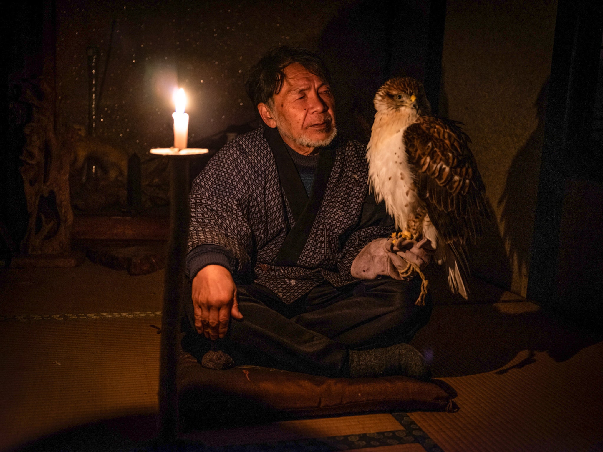 The first stages of “manning,” teaching a hawk to stay on their falconer’s arm, begins with acclimation in the dark. The second phase uses a room that’s dimly lit.