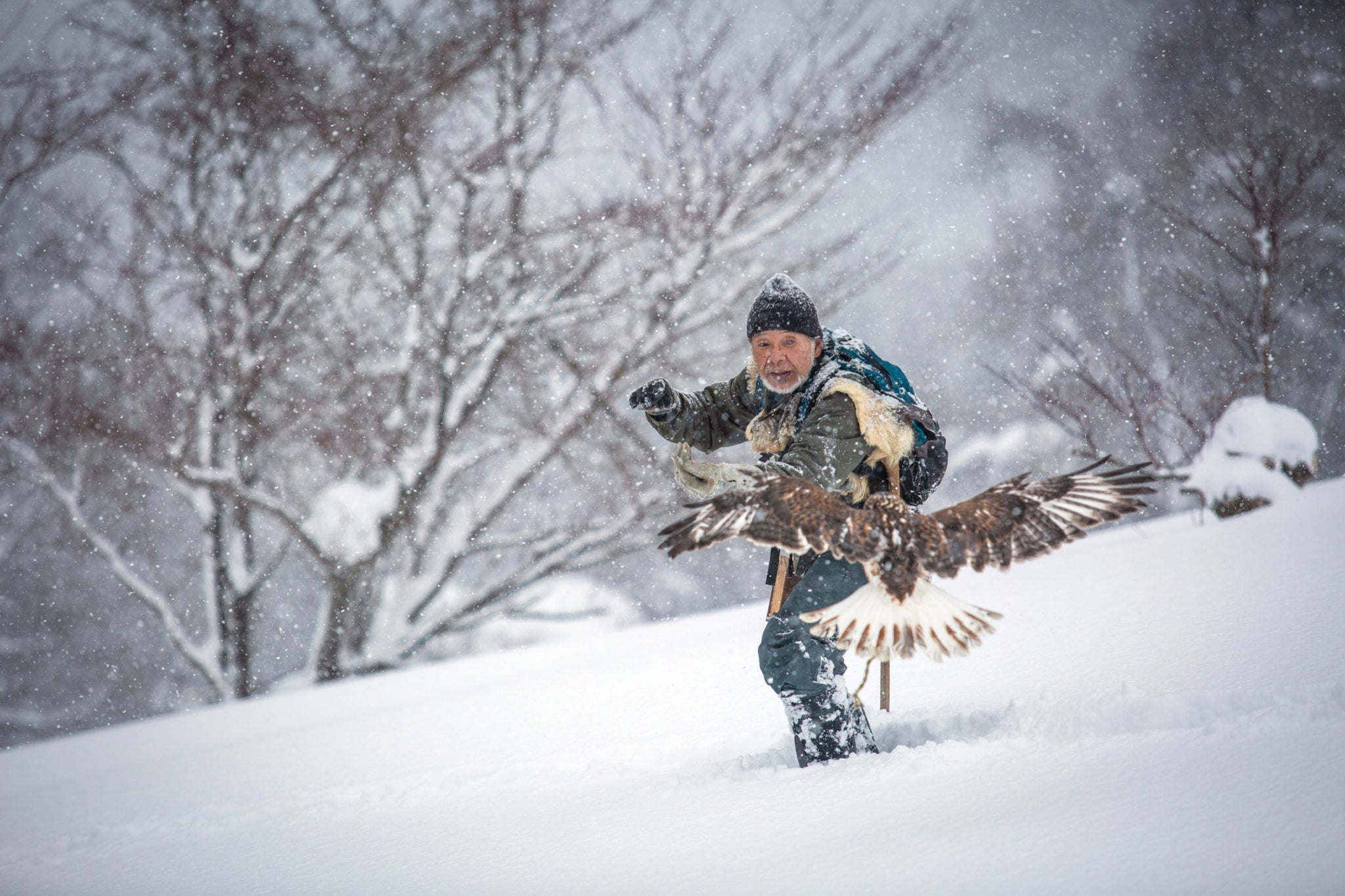 Today’s training is teaching the hawk to return from long distances. When it spots prey, the hawk shoots from Matsubara’s arm like an arrow. In that moment, Matsubara says he is filled with a mysterious sense of having become one with the hawk.