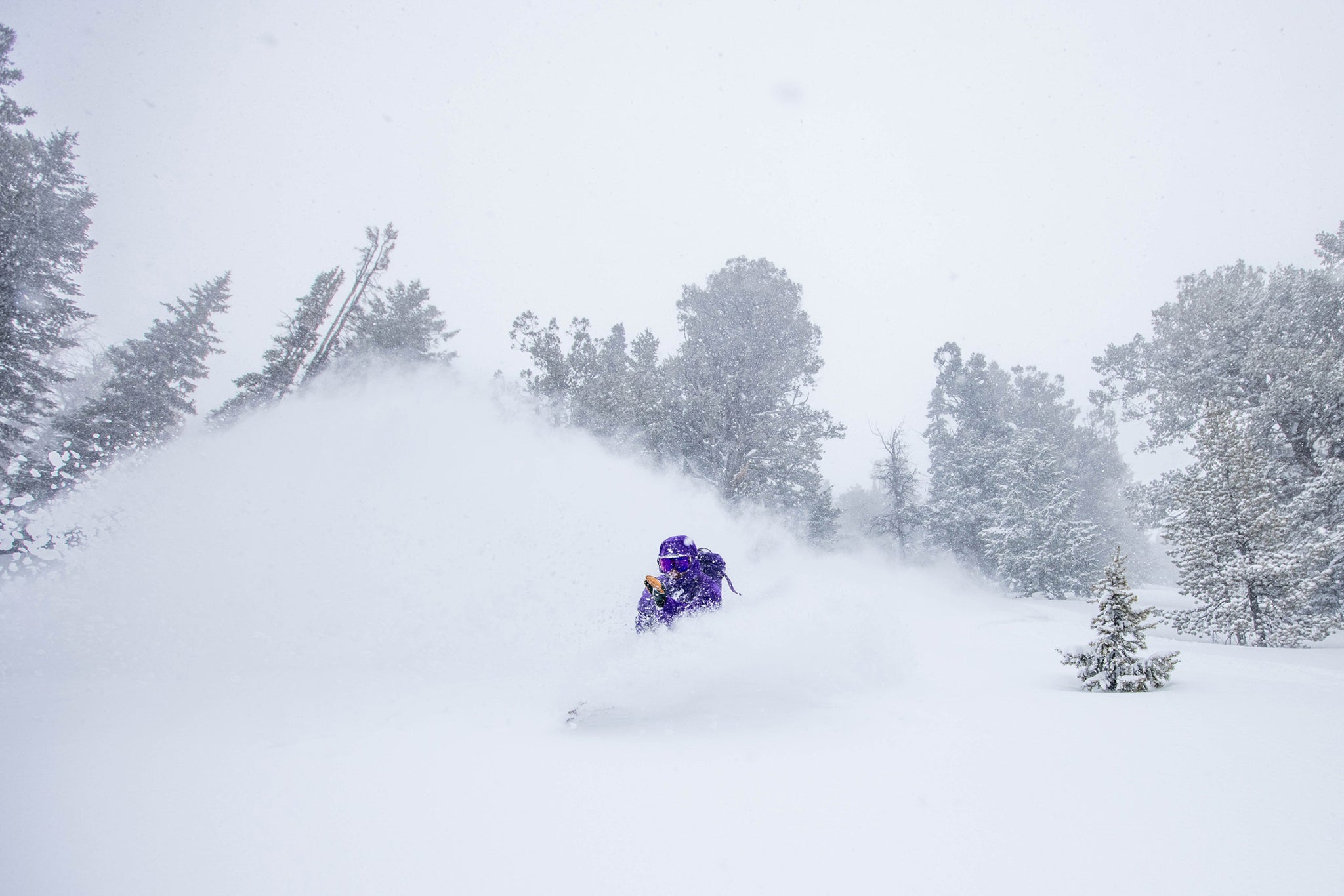 Zynobia shreds. Here in this photo and always. Enjoying some fresh snow during a snow safety course is always a bonus. Teton Range, Wyoming.