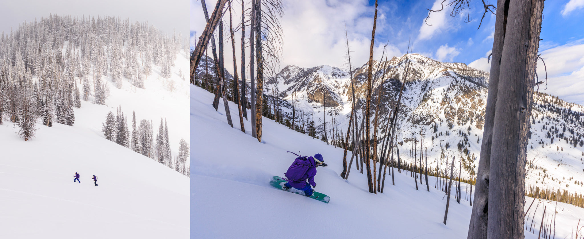 Left: Zynobia and a friend skin up a ridge in the Tetons on a snowy afternoon.  Right: Zynobia moves through a burned area in Grand Teton National Park.