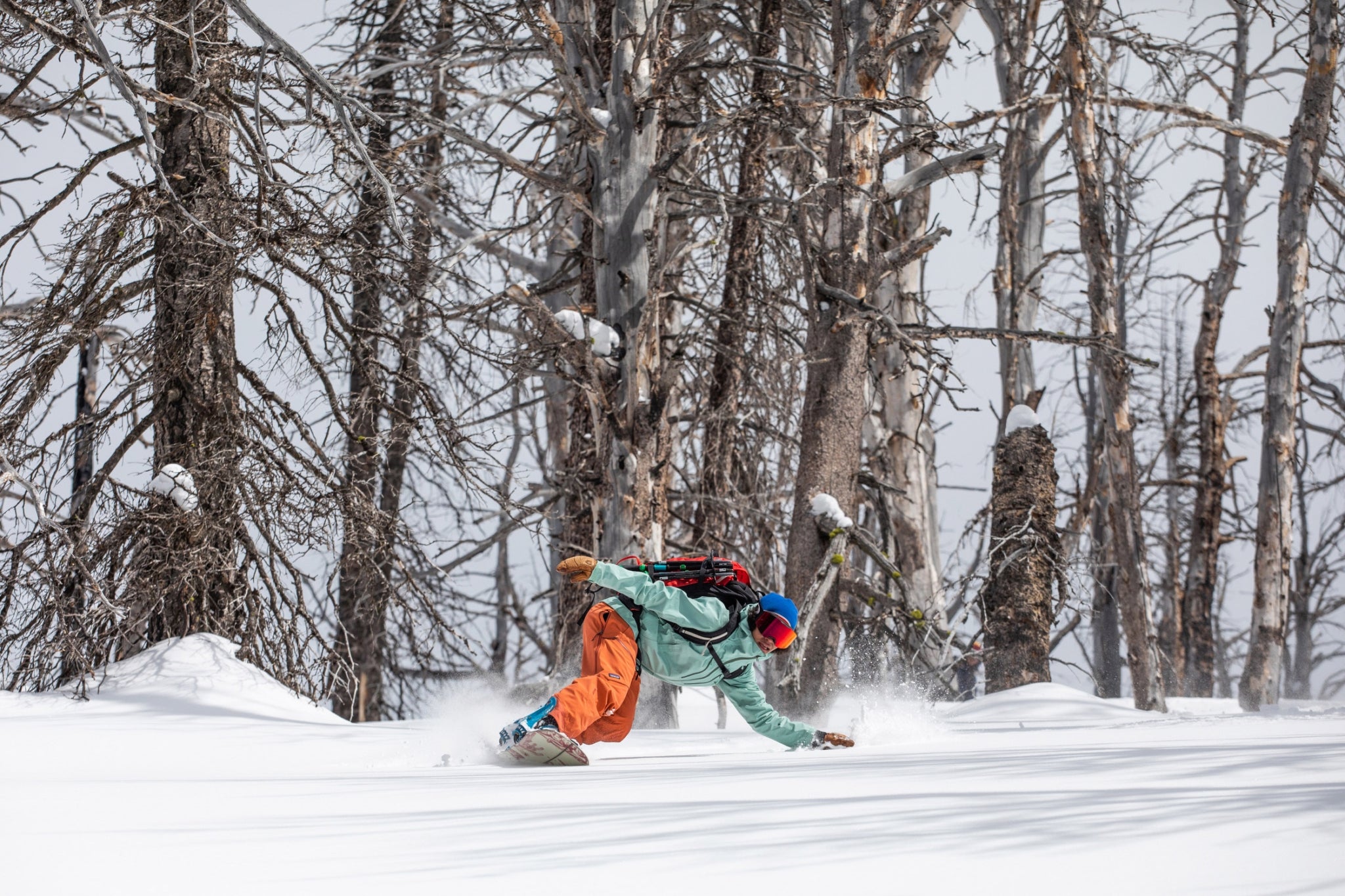 Emilé Zynobia rides out of a small burn zone in the backcountry near Jackson, Wyoming. Photo: Sofia Jaramillo